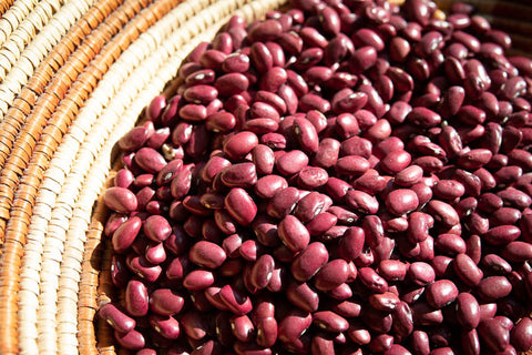 Rancho Gordo dried Hidatsa Red Bean 