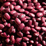 Rancho Gordo dried Hidatsa Red Bean