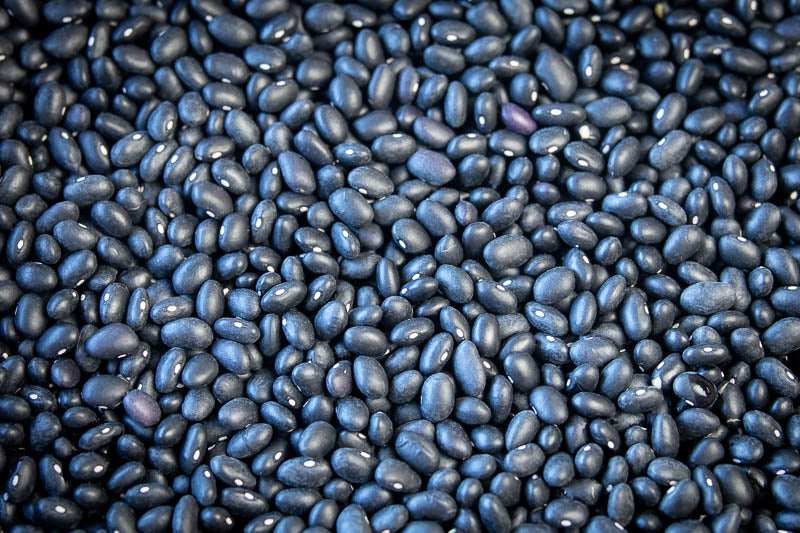 Rancho Gordo dried Midnight black bean 