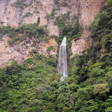 A waterfall with lots of trees around 