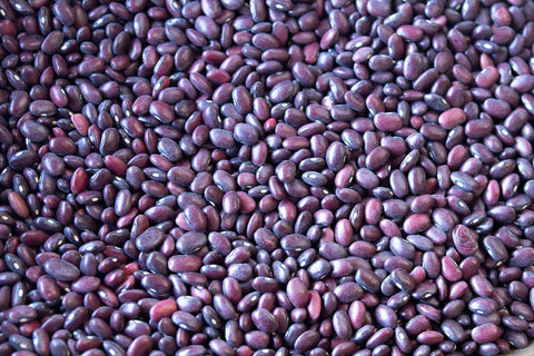 Rancho Gordo dried Domingo rojo beans 