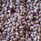 Rancho Gordo dried Cranberry beans 
