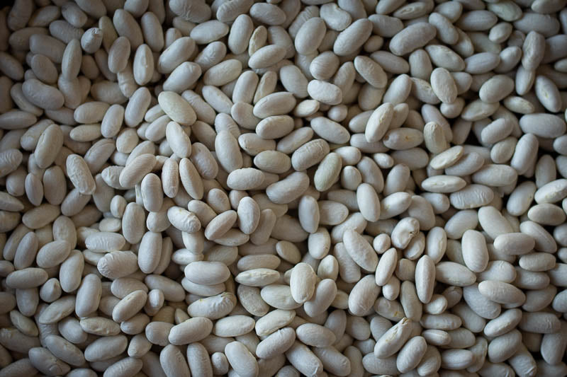 Rancho Gordo dried Marcella bean 