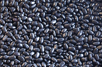 Rancho Gordo dried Chiapas Black Bean (Frijol Negro de Vara) 