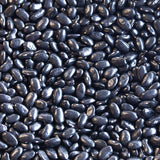 Rancho Gordo dried Chiapas Black Bean (Frijol Negro de Vara) 
