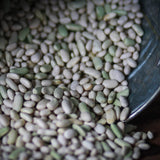 Flageolet bean, Rancho Gordo - Heirloom beans
