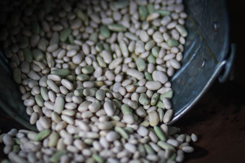 Flageolet bean, Rancho Gordo - Heirloom beans