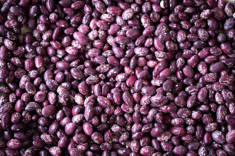 Dried Rancho Gordo Whipple Bean