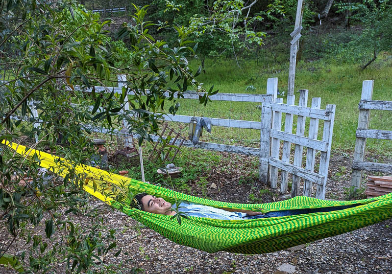 Handwoven Hammock with a boy laying down surround by trees 