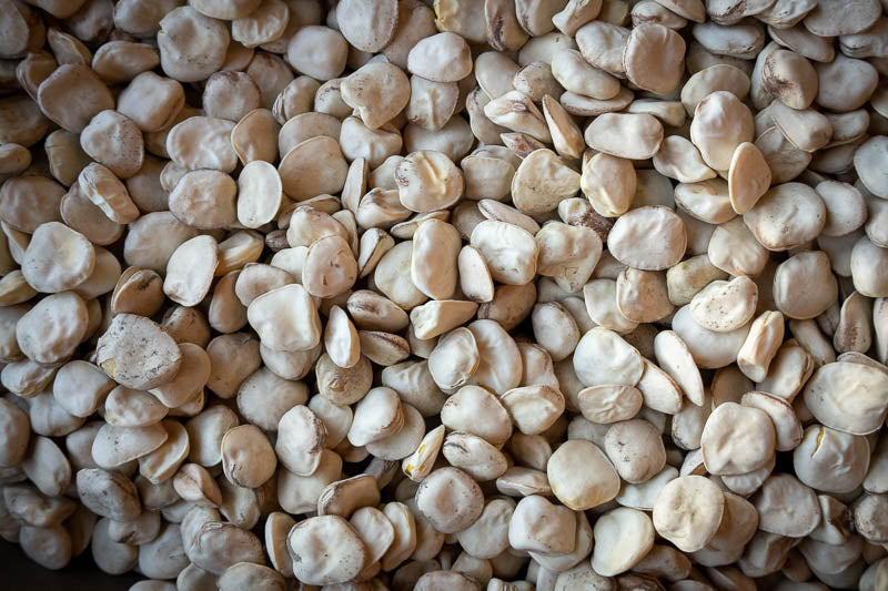 Close-up of dried cicerchie beans