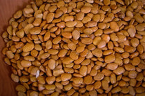 Brown Tepary, a small flat shaped bronzed bean - Rancho Gordo, Heirloom beans