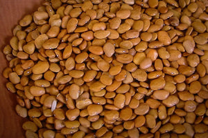 Brown Tepary, a small flat shaped bronzed bean - Rancho Gordo, Heirloom beans