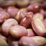 Flor de Junio Bean - Rancho Gordo