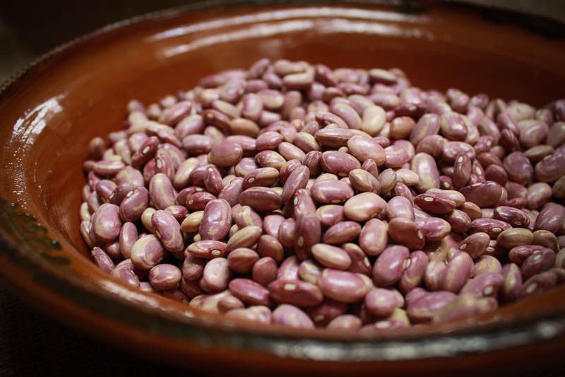 Flor de Junio Bean - Rancho Gordo