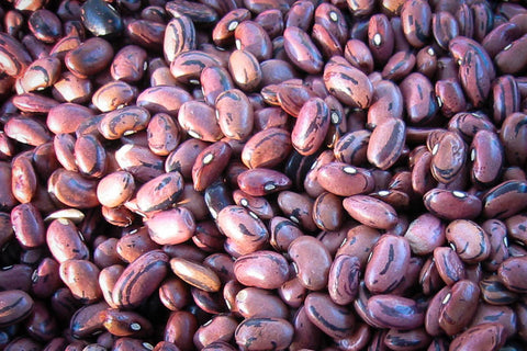 Rio Zape bean - Rancho Gordo, Heirloom beans
