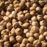 Garbanzo Bean (Chickpea), Rancho Gordo - Heirloom beans