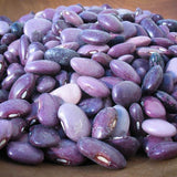 Ayocote Morado, a purple medium size bean-Rancho Gordo, Heirloom beans.