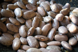 Rebosero, a small light brown bean - Rancho Gordo, Heirloom beans