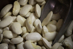 Royal Corona, a large white bean - Rancho Gordo, Heirloom beans