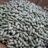Flageolet, a small white to pale celadon green bean, Rancho Gordo - Heirloom beans