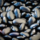 Ayocote Negro, a medium size black bean-Rancho Gordo, Heirloom beans.
