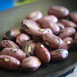 Rio Zape, a small purple bean with black marketings - Rancho Gordo, Heirloom beans
