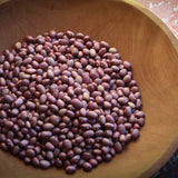 Lila, a small light purple bean, Rancho Gordo - Heirloom beans