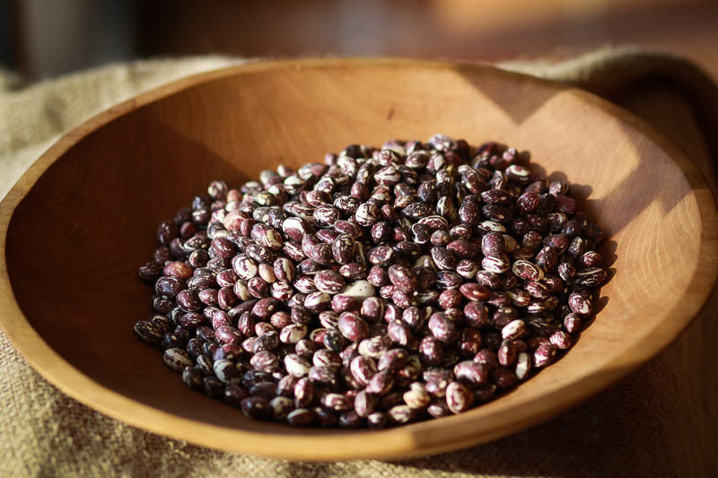 Good Mother Stallard, a small dark red bean with white marketings, Rancho Gordo - Heirloom beans