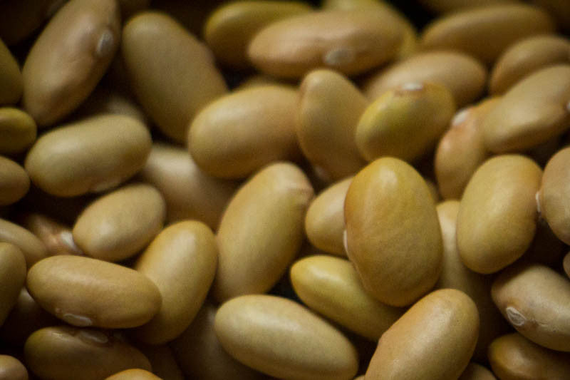 Mayocoba Beans - Rancho Gordo, Heirloom beans