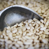 White beans with a metal scoop. Ayocote Blanco, a white medium size bean-Rancho Gordo, Heirloom beans.