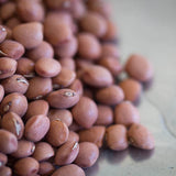 Santa Maria Pinquitos, a small round pink bean - Rancho Gordo, Heirloom beans