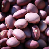 Lila Bean, Rancho Gordo - Heirloom beans