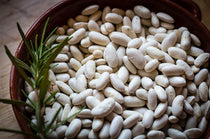 Marcella, a medium size oval shaped white bean - Rancho Gordo, Heirloom beans