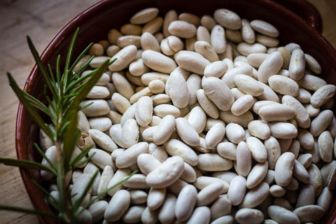 Marcella, a medium size oval shaped white bean - Rancho Gordo, Heirloom beans