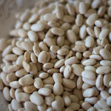 Alubia Blanca, a small white bean-Rancho Gordo, Heirloom beans.