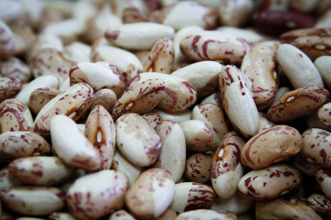 Rancho Gordo dried Snowcap bean 